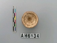 藏品(魚脊椎骨)的圖片